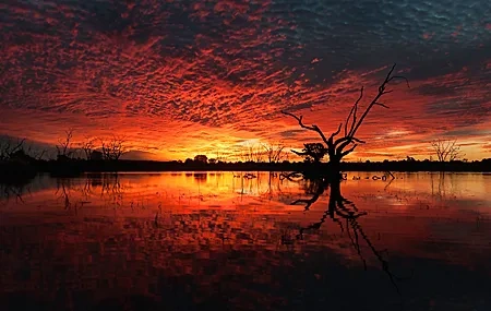 Free download Landscape clouds lake sky sunset silhouette red dead trees orange sky nature sunshine sky 4K wallpaper, Wallpaper & 7wallpaper