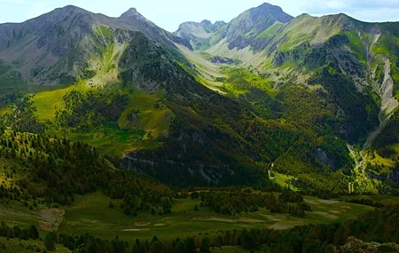 Free download Nature Landscape Trees Grass Fields Forest 4K Wallpaper, Wallpaper & 7wallpaper