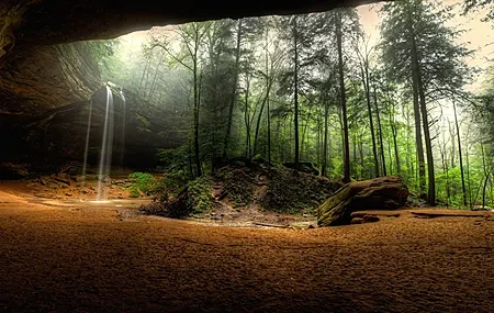 Free download Cave Forest 4K wallpaper, Wallpaper & 7wallpaper
