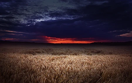 Free download Sunset Nature Landscape Sky Clouds 4K Wallpaper, Wallpaper & 7wallpaper