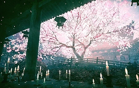 Free download Temple Sakura Zen Garden Candle 4K Wallpaper, Wallpaper & 7wallpaper