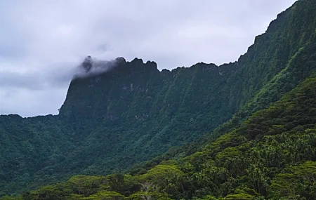 Free download Mountains Landscape Nature Clouds Jungle Islands 8K Wallpaper, Wallpaper & 7wallpaper