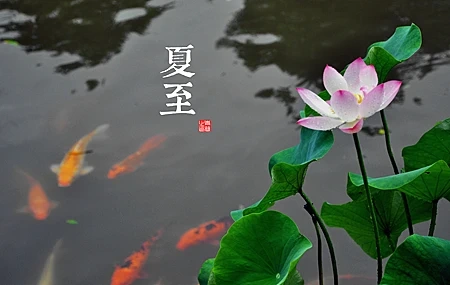 Free download Plant Leaves Fish Chinese Characters 4K Wallpaper, Wallpaper & 7wallpaper