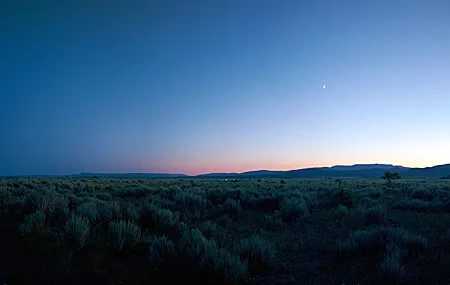 Free download Sky Landscape Nature Shrubs 4K Wallpaper, Wallpaper & 7wallpaper