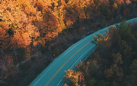 Free download Road Forest Trees Autumn Nature 4K Wallpaper, Wallpaper & 7wallpaper