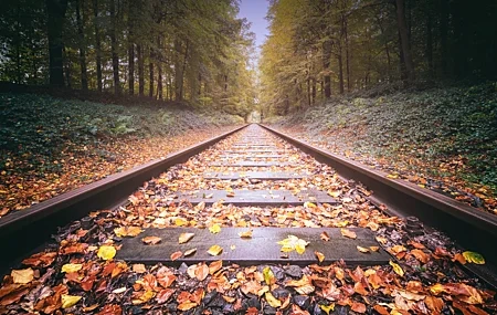 Free download Railway Autumn Trees 4K Wallpaper, Wallpaper & 7wallpaper