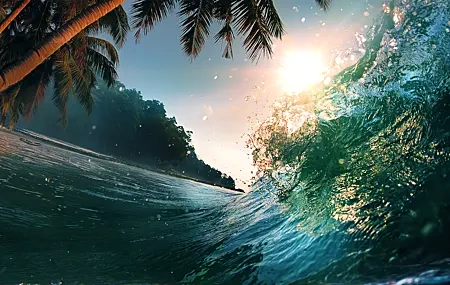 Free download Ocean waves palm trees water nature sunshine 4K wallpaper, Wallpaper & 7wallpaper