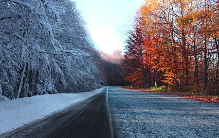 Free download Nature Winter Road Scenery Trees Autumn 4K Wallpaper, Wallpaper & 7wallpaper