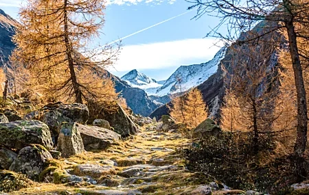 Free download Nature Trees Snow Forest Road Snow Mountains Mountains Computer Wallpaper 4K Wallpaper, Wallpaper & 7wallpaper