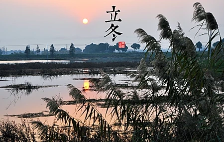 Free download Nature Landscape Sun Cold Beginning of Winter Lake Lake Reed Computer Wallpaper 4K Wallpaper, Wallpaper & 7wallpaper