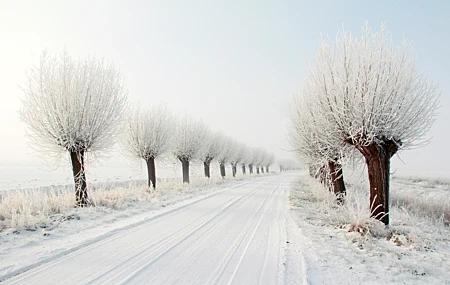 Free download winter snow cold snowflakes snow nature road trees computer wallpaper 4K wallpaper, Wallpaper(s) website provided.