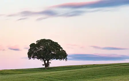 Free download Scotland Nature Landscape Clouds Sunset Fields Trees Sky Simple Background Computer Wallpaper 4K Wallpaper, Wallpaper(s) website provided.