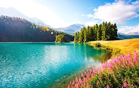 Free download landscape nature green flowers lake field flowers sky clouds lights sunlight trees computer wallpaper 4K wallpaper, Wallpaper(s) website provided.