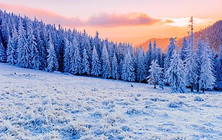 Free download winter fir nature landscape mountains sunset snow sky forest trees white cold sun mist sunlight computer wallpaper 4K wallpaper, Wallpaper(s) website provided.