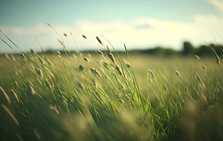 Free download Art Nature Grass Green Fresh Eye Protection Computer Wallpaper 4K Wallpaper, Wallpaper(s) website provided.