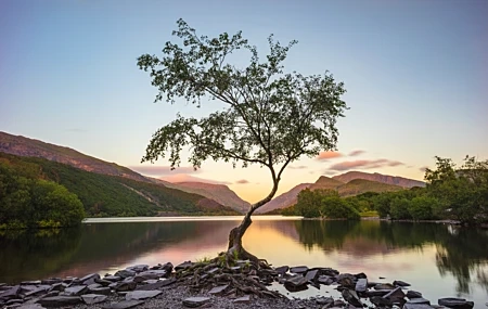Free download Landscape nature water mountain tree grass reflection sky computer wallpaper 4K wallpaper, Wallpaper(s) website provided.