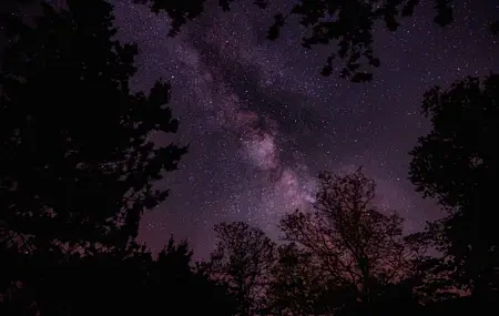 Free download Nature Trees Sky Stars Landscape Night Computer Wallpaper 4K Wallpaper, Wallpaper(s) website provided.