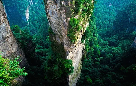 Free download Forest China Cliff Mountain Green Summer National Park Nature Landscape Aerial View Computer Wallpaper 4K Wallpaper, Wallpaper(s) website provided.