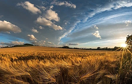 Free download Nature Sky Landscape Field Blue Clouds Computer Wallpaper 4K Wallpaper, Wallpaper(s) website provided.