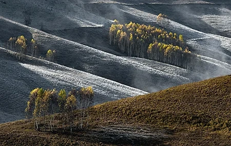 Free download Nature Landscape Fields Trees Mist Computer Wallpaper 4K Wallpaper, Wallpaper(s) website provided.