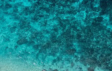 Free download Nature Water Trees Rocks Cyan Bird's Eye Mobile Wallpaper 4K Wallpaper, Wallpaper(s) website provided.