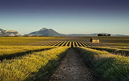 Free download Farmland Buildings Mountains Nature Scenery Clear Sky Road Fields Computer Wallpaper 4K Wallpaper, Wallpaper(s) website provided.