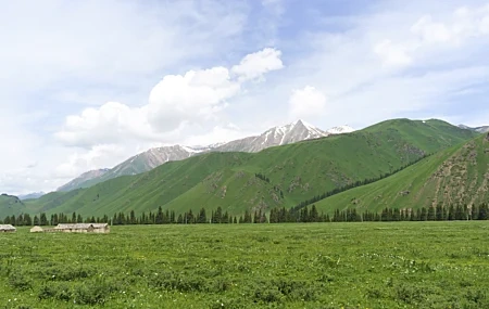 Free download Grass Mountain Snow Peak Landscape Pine Tree Highway China Nature Cloud Sky Fresh Computer Wallpaper 4K Wallpaper, Wallpaper(s) website provided.