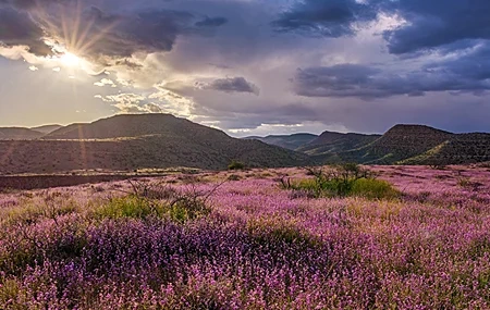Free download Nature Landscape Spring Flowers Field Sky Clouds Mountain Sun Computer Wallpaper 4K Wallpaper, Wallpaper(s) website provided.