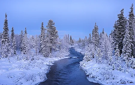 Free download Nature Creek Winter Cold Outdoor Trees Water Snow Computer Wallpaper 4K Wallpaper, Wallpaper(s) website provided.