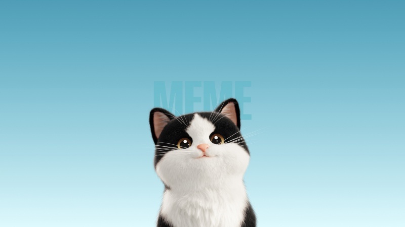 Free download Cute Cat Cartoon Meme Blue background Blue gradient 5K, Wallpaper(s) website provided.