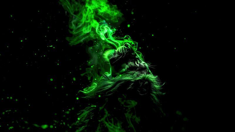 Free download Lion Green aesthetic AMOLED Smoke 5K Black background Dark theme, Wallpaper(s) website provided.