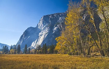 Free download Landscape Mountains Park Autumn Nature Computer Wallpaper 8K Wallpaper, Wallpaper(s) website provided.