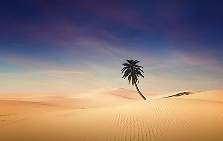 Free download Desert Palm Trees Clouds Simple Landscape Nature Computer Wallpaper 4K Wallpaper, Wallpaper(s) website provided.