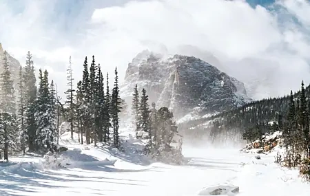 Free download Nature Landscape Winter Snow Fog Mountain Tree Computer Wallpaper 4K Wallpaper, Wallpaper(s) website provided.