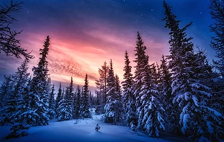 Free download Nature Forest Sky Winter Snow Clouds Computer Wallpaper 4K Wallpaper, Wallpaper(s) website provided.