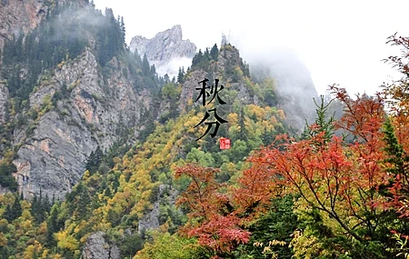 Free download Mountain Nature Autumn Rocks Trees Computer Wallpaper 4K Wallpaper, Wallpaper(s) website provided.