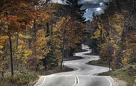 Free download Nature Trees Road Deep Forest Autumn Leaves Computer Wallpaper 4K Wallpaper, Wallpaper(s) website provided.