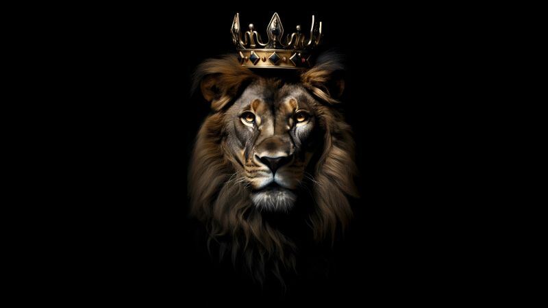 Free download Lion Crown Dark aesthetic AMOLED Black background 5K 8K CGI, Wallpaper(s) website provided.
