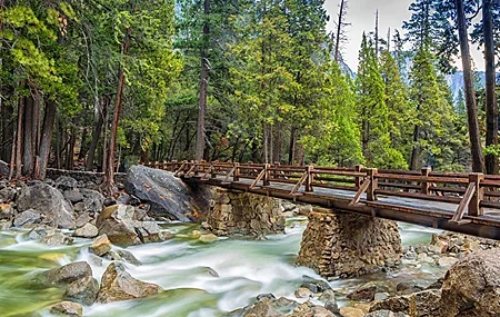 Free download Bridge River Forest Rocks Nature Computer Wallpaper 4K Wallpaper, Wallpaper(s) website provided.