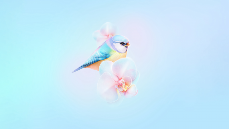 Free download Eurasian blue tit Cute bird Orchid flowers HarmonyOS Stock Pastel blue Aesthetic Cyan, Wallpaper(s)