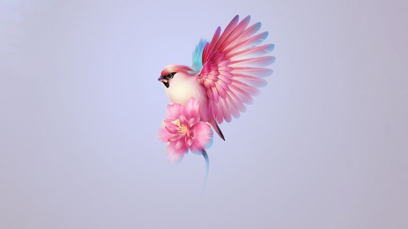 Free download Bohemian waxwing Aesthetic Pink flower Girly Huawei Mate X3 Stock, Wallpaper(s) website provided.