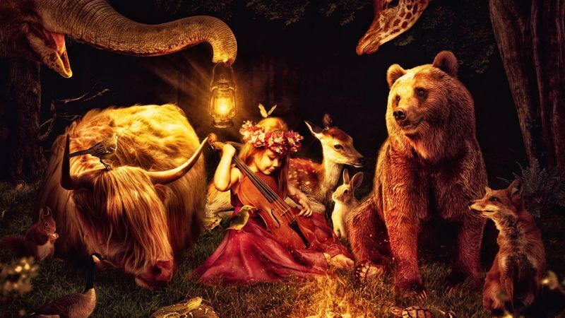 Free download Little girl Playing violin Midnight Bear Fox Giraffe Deer Forest Rabbit Surreal Dream, Wallpaper(s) website provided.