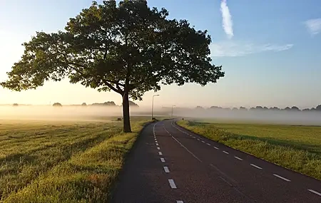 Free download Nature Landscape Trees Mist Road Sunrise Grass Cloud Sky Computer Wallpaper 4K Wallpaper, Wallpaper(s) website provided.
