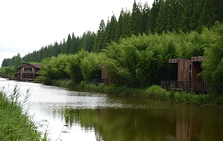 Free download Forest Water Nature Houses Trees River Bridge Computer Wallpaper 4K Wallpaper, Wallpaper(s)
