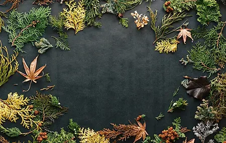 Free download Nature Leaves Plant Autumn Computer Wallpaper 4K Wallpaper, Wallpaper(s)