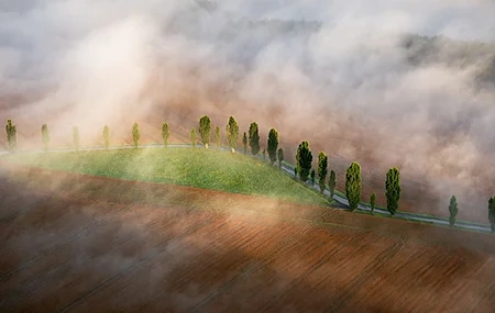 Free download Mist Landscape Field Outdoor Trees Healing Computer Wallpaper 4K Wallpaper, Wallpaper(s)