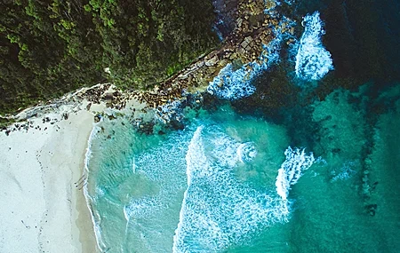 Free download Nature Water Beach Trees Aerial View Computer Wallpaper 4K Wallpaper, Wallpaper & 7wallpaper