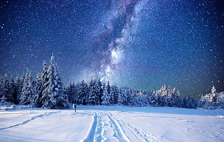 Free download pine trees snow landscape stars winter starry sky forest computer wallpaper 4K wallpaper, Wallpaper & 7wallpaper