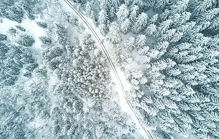 Free download Nature Trees Snow Road White Forest Computer Wallpaper 4K Wallpaper, Wallpaper(s)