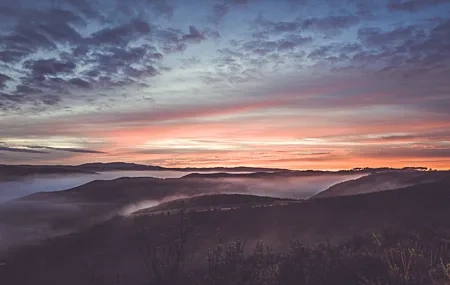 Free download Nature Water Trees Sunset Sunlight Computer Wallpaper 4K Wallpaper, Wallpaper & 7wallpaper